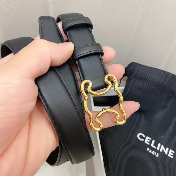 Celine Medium Triomphe Frame Belt 25MM in Black Calfskin product view 2