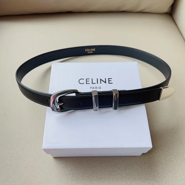 Celine Medium Western Belt 25mm — Black Calfskin with Silver-Tone Hardware product view 7