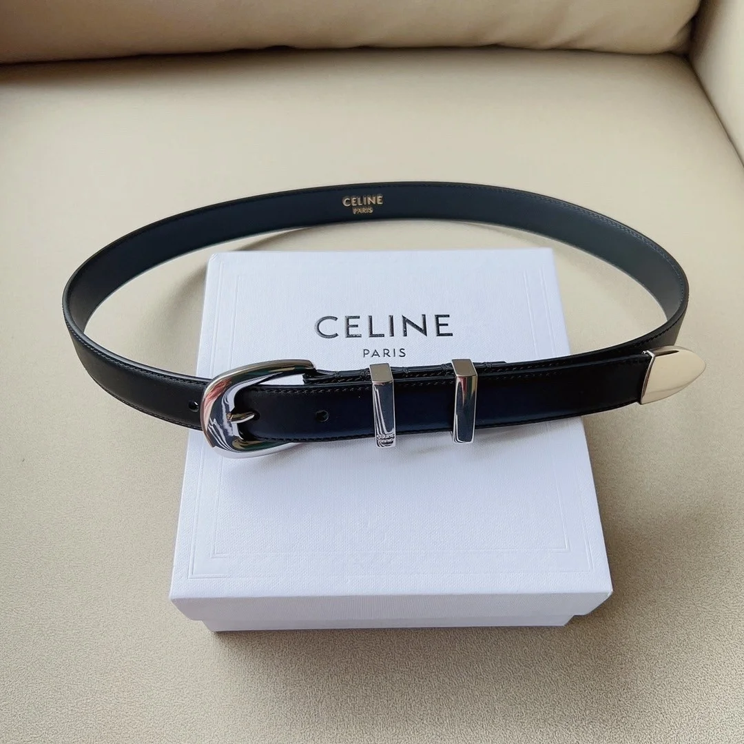 Celine Medium Western Belt 25mm — Black Calfskin with Silver-Tone Hardware product view 7