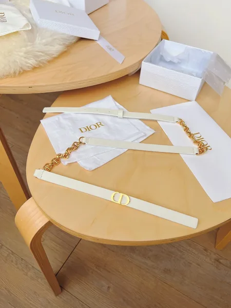 Dior Caro 15MM Belt in White Calfskin and Chain product view 8