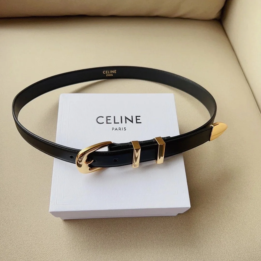 Celine Medium Western Belt 25mm — Black Calfskin with Gold-Tone Hardware product view 5