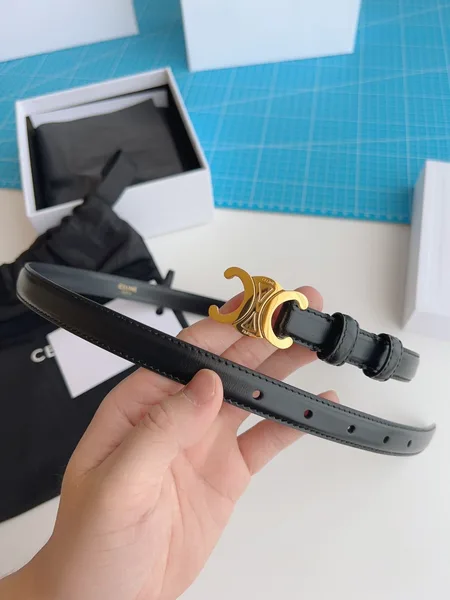 Celine Small Triomphe Belt 18MM in Black Calfskin product view 7
