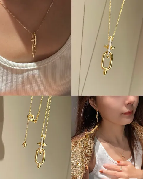 Tiffany  Co. Titan Long Link Pendant Necklace Gold-Tone product view 5