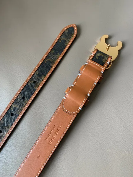 Celine Medium Triomphe Belt 25MM in Tan Triomphe Canvas product view 9