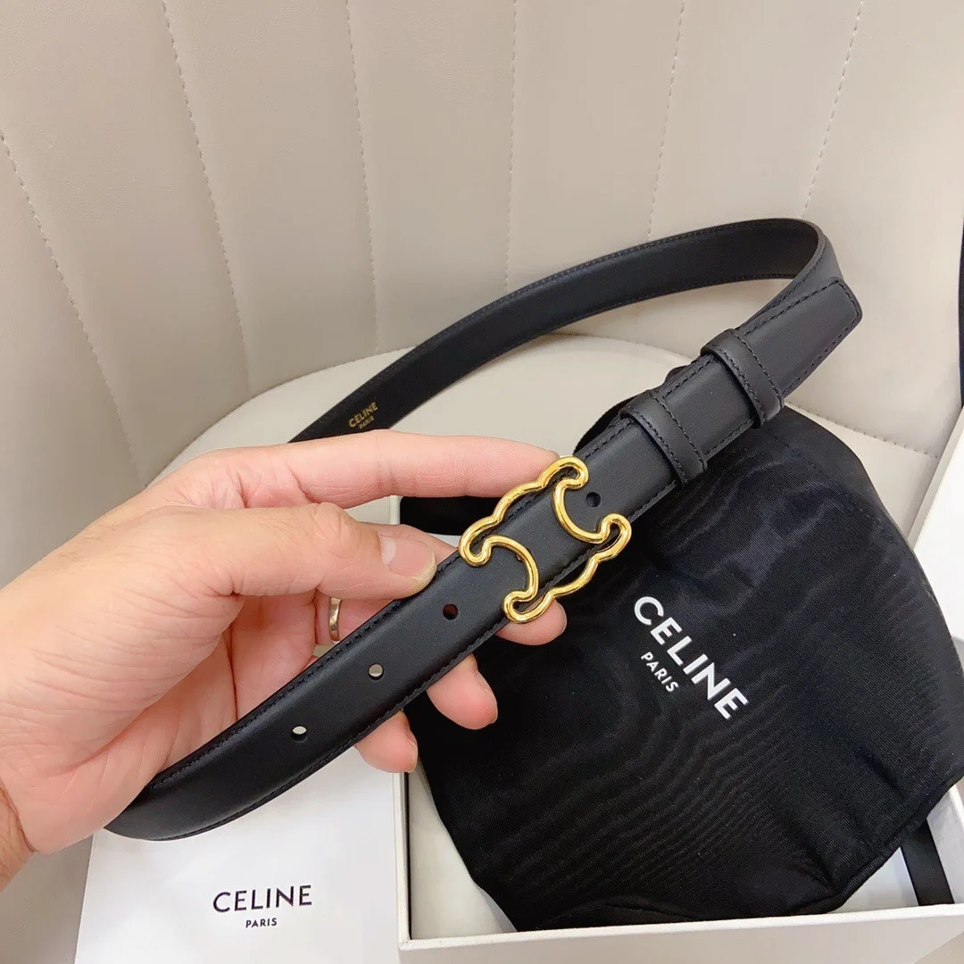 Celine Medium Triomphe Frame Belt 25MM in Black Calfskin product view 3