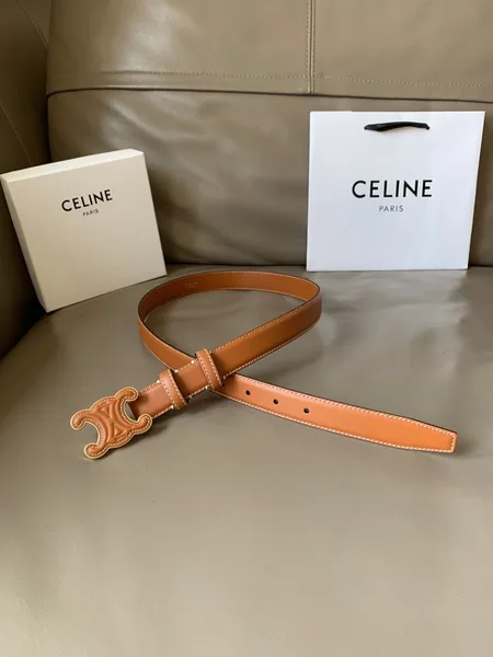 Celine Medium Cuir Triomphe Belt 25MM in Brown Calfskin product view 7