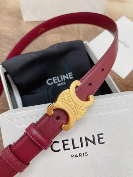 Celine Medium Triomphe Belt 25MM in Bordeaux Calfskin product view 3