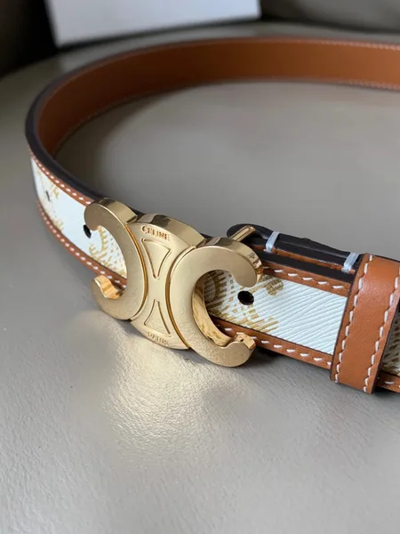 Celine Medium Triomphe Belt 25MM in White Triomphe Canvas product view 4