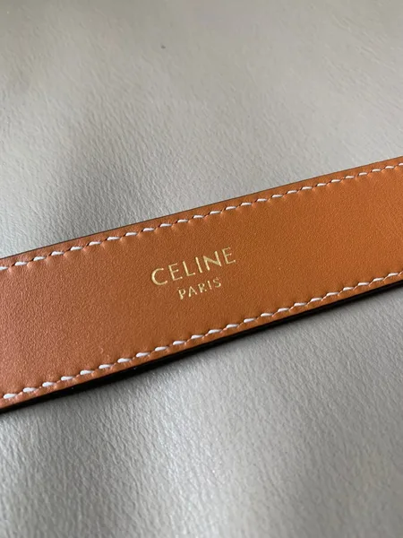 Celine Medium Triomphe Belt 25MM in White Triomphe Canvas product view 8