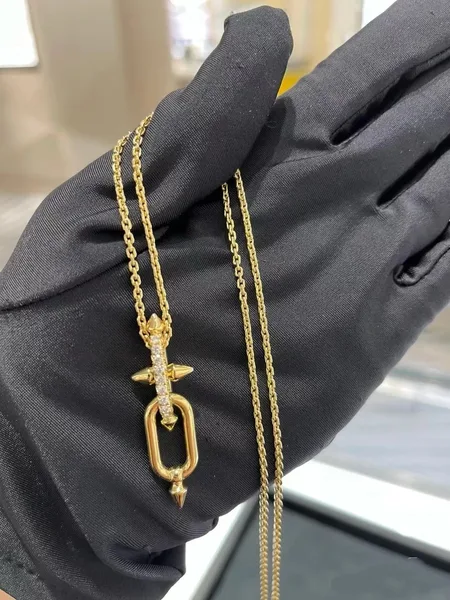 Tiffany  Co. Titan Long Link Pendant Necklace Gold-Tone product view 2