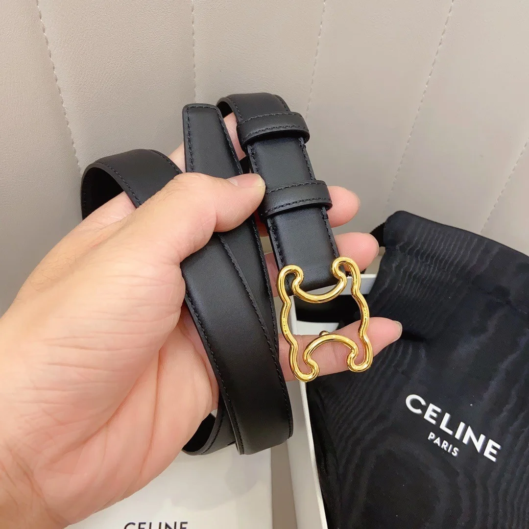 Celine Medium Triomphe Frame Belt 25MM in Black Calfskin product view 6