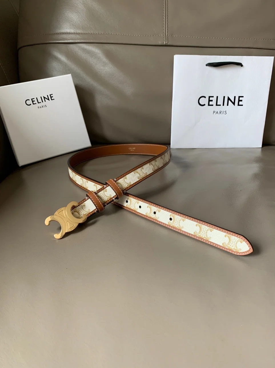 Celine Medium Triomphe Belt 25MM in White Triomphe Canvas product view 6