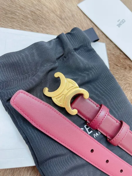 Celine Medium Triomphe Belt 25MM in Bordeaux Calfskin product view 8
