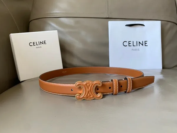 Celine Medium Cuir Triomphe Belt 25MM in Brown Calfskin product view 2