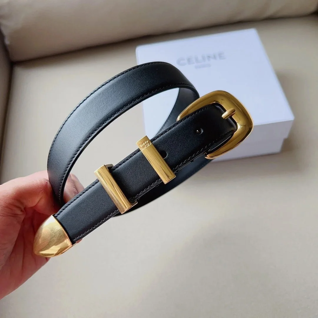 Celine Medium Western Belt 25mm — Black Calfskin with Gold-Tone Hardware product view 4