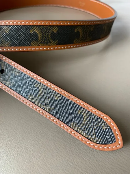 Celine Medium Triomphe Belt 25MM in Tan Triomphe Canvas product view 6