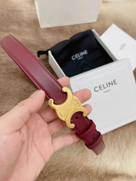 Celine Medium Triomphe Belt 25MM in Bordeaux Calfskin product view 4