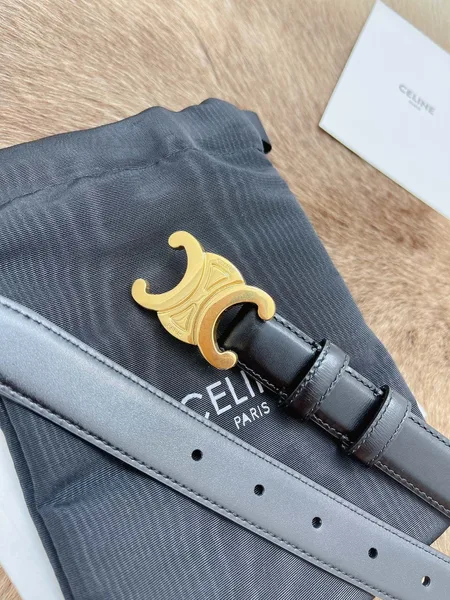 Celine Medium Triomphe Belt 25MM in Black Calfskin product view 9