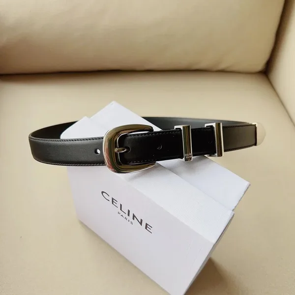 Celine Medium Western Belt 25mm — Black Calfskin with Silver-Tone Hardware product view 2