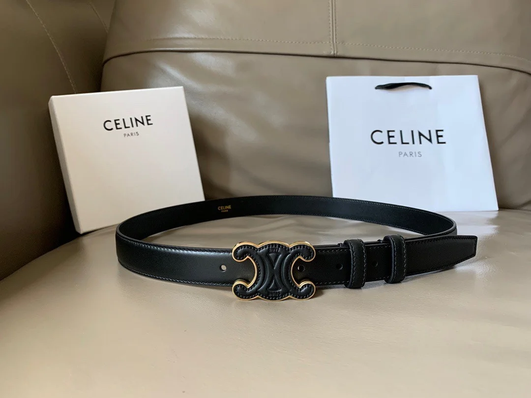 Celine Medium Cuir Triomphe Belt 25MM in Black Calfskin product view 2