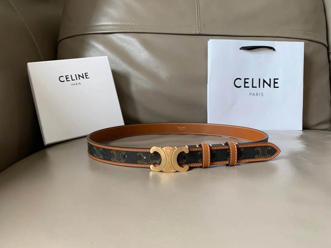 Celine Medium Triomphe Belt 25MM in Tan Triomphe Canvas product view 2