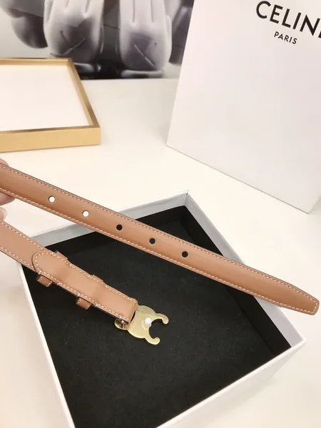 Celine Small Triomphe Belt 18MM in Brown Calfskin product view 3