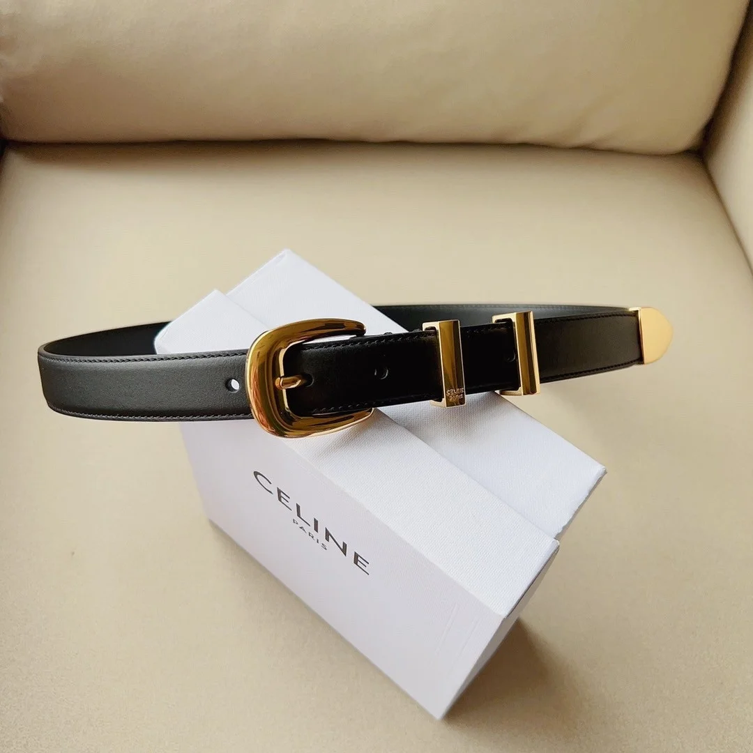 Celine Medium Western Belt 25mm — Black Calfskin with Gold-Tone Hardware product view 2
