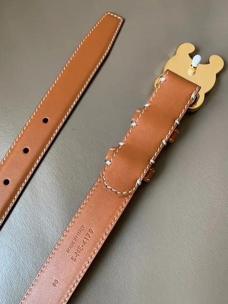 Celine Medium Cuir Triomphe Belt 25MM in Brown Calfskin product view 3