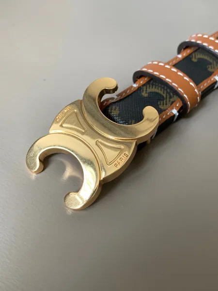 Celine Medium Triomphe Belt 25MM in Tan Triomphe Canvas product view 3