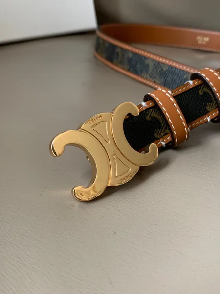 Celine Medium Triomphe Belt 25MM in Tan Triomphe Canvas product view 8