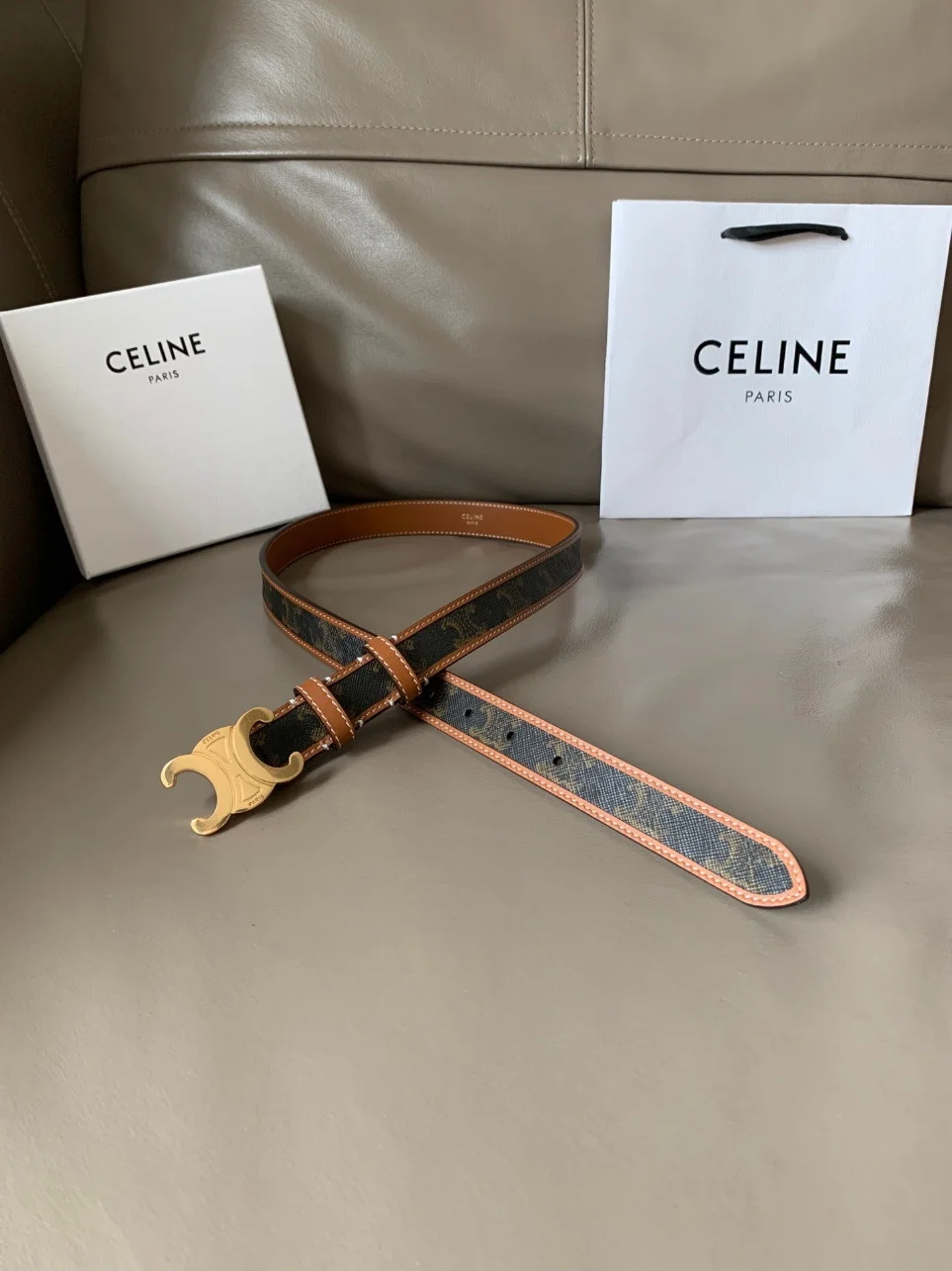 Celine Medium Triomphe Belt 25MM in Tan Triomphe Canvas product view 7
