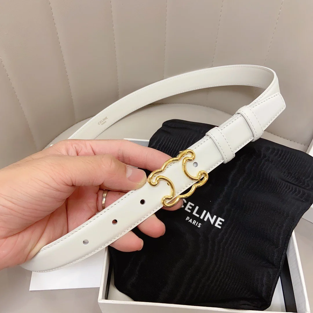 Celine Medium Triomphe Frame Belt 25MM in White Calfskin product view 9