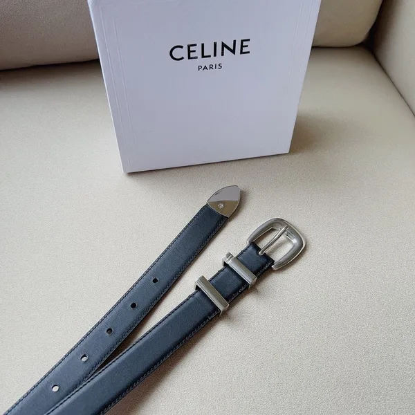 Celine Medium Western Belt 25mm — Black Calfskin with Silver-Tone Hardware product view 6