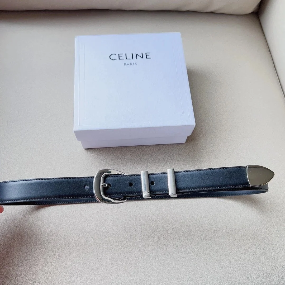 Celine Medium Western Belt 25mm — Black Calfskin with Silver-Tone Hardware product view 5