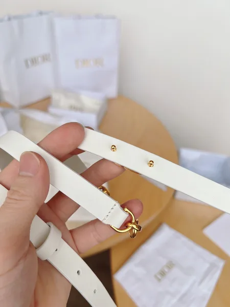 Dior Caro 15MM Belt in White Calfskin and Chain product view 3