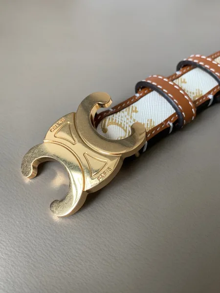 Celine Medium Triomphe Belt 25MM in White Triomphe Canvas product view 5