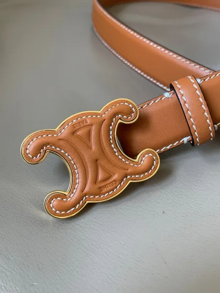 Celine Medium Cuir Triomphe Belt 25MM in Brown Calfskin product view 5