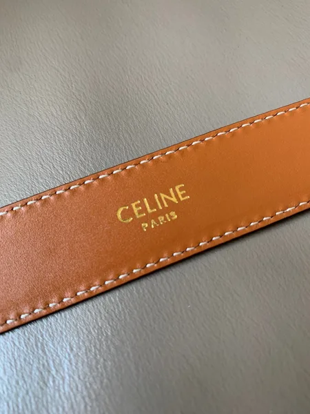 Celine Medium Cuir Triomphe Belt 25MM in Brown Calfskin product view 4