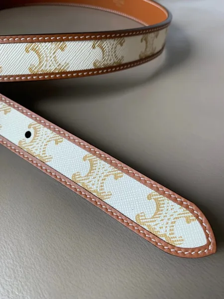 Celine Medium Triomphe Belt 25MM in White Triomphe Canvas product view 3